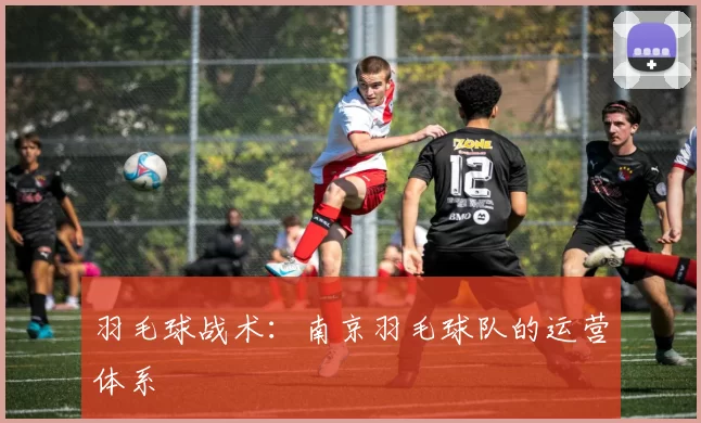 羽毛球战术：南京羽毛球队的运营体系