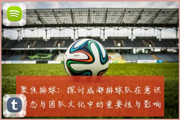 聚焦排球：探讨成都排球队在意识形态与团队文化中的重要性与影响