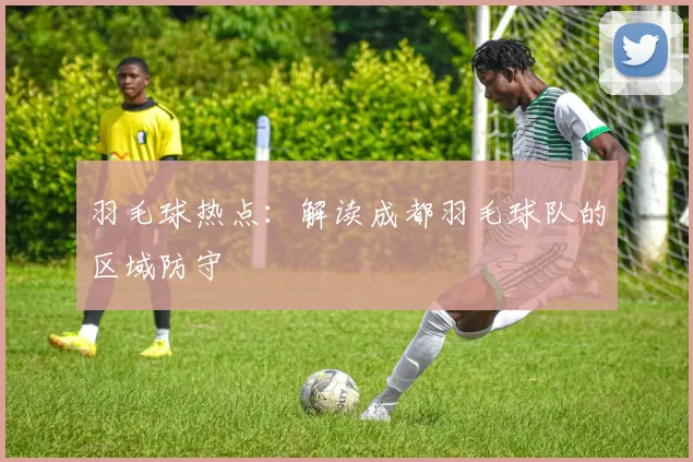 羽毛球热点：解读成都羽毛球队的区域防守